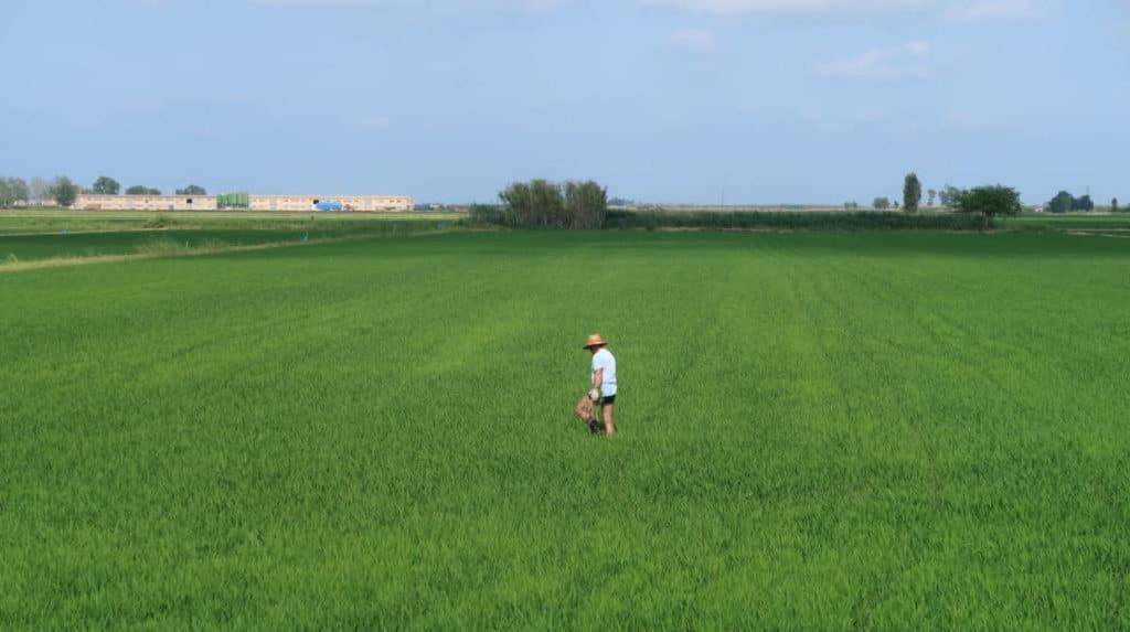 Apartamento Delta Del Ebro อัมโบสตา ภายนอก รูปภาพ